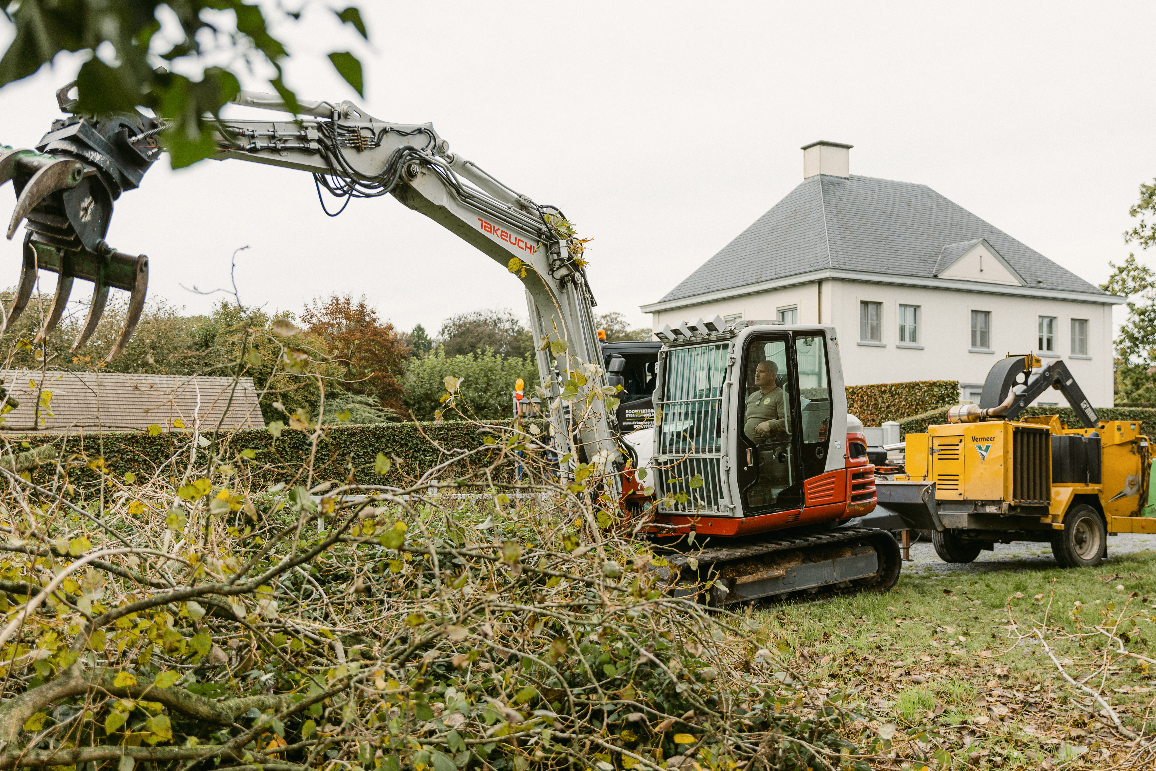 Bomen vellen