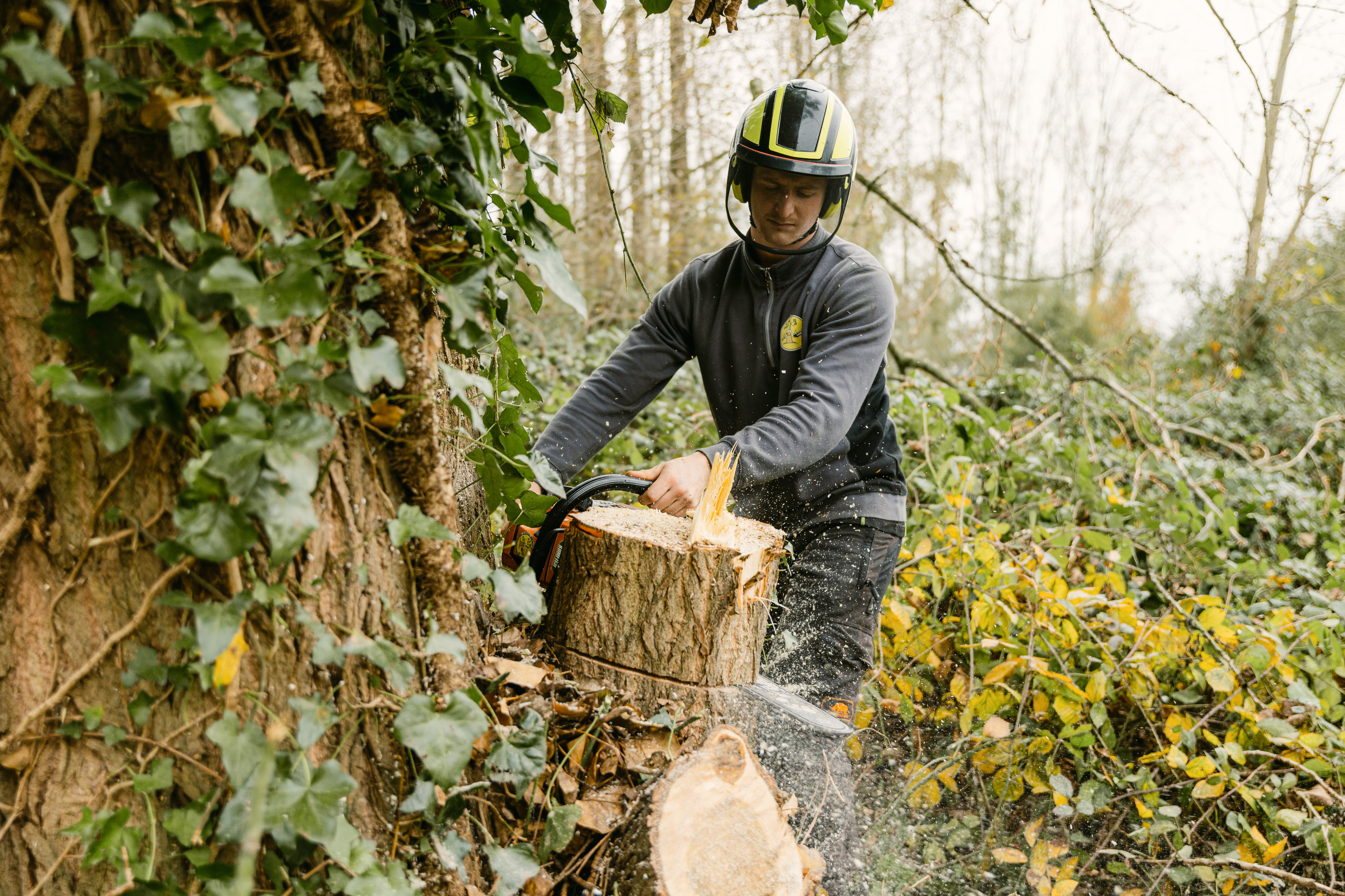 Bomen vellen