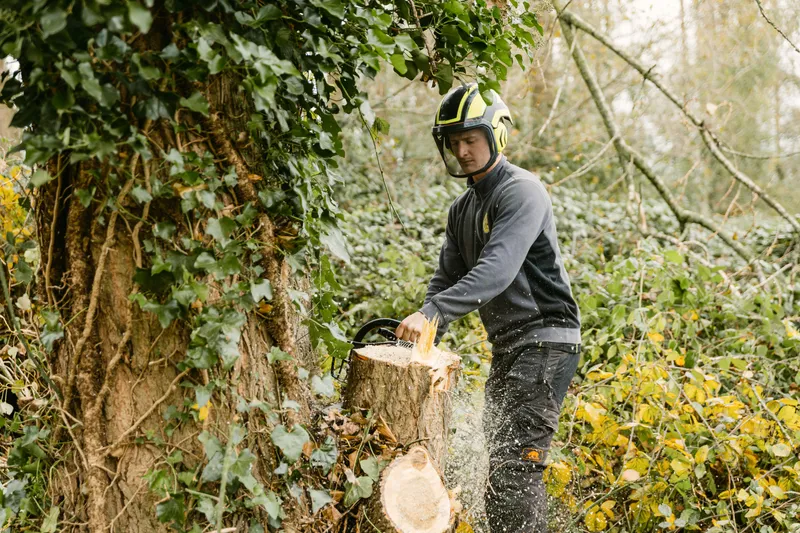 Bomen vellen door De Boomverzorger in Oost-Vlaanderen